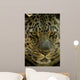 Looker Wall Decal