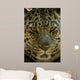Looker Wall Decal