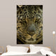 Looker Wall Decal