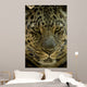 Looker Wall Decal