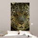 Looker Wall Decal