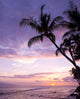 Tropical Sunset Wall Decal