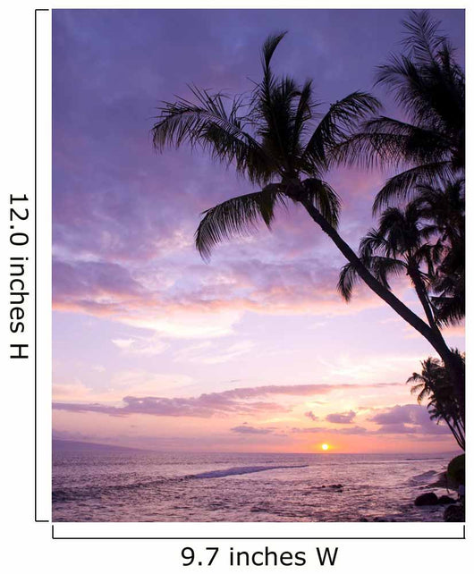 Tropical Sunset Wall Decal