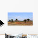 Lanzarote Wall Decal