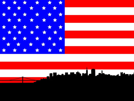 San Francisco Skyline against Wall Decal