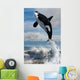 Orca Free Willy Wall Decal