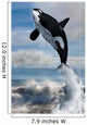 Orca Free Willy Wall Decal