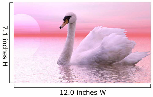 Swan Wall Decal