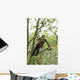 Pruning Wall Decal