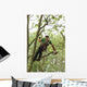 Pruning Wall Decal