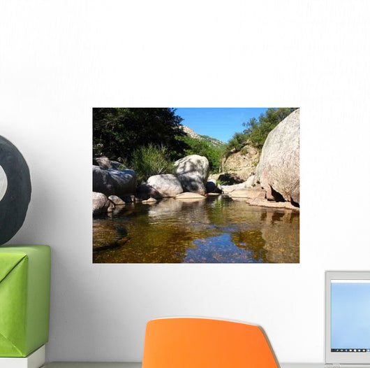 River Wall Decal Design 1