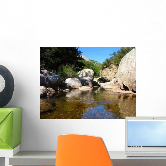 River Wall Decal Design 1