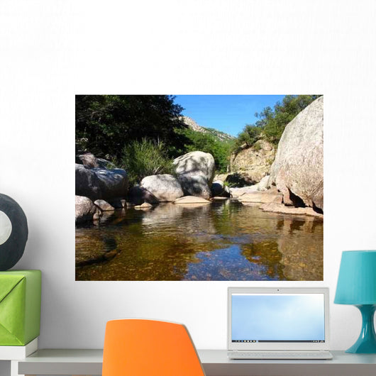 River Wall Decal Design 1