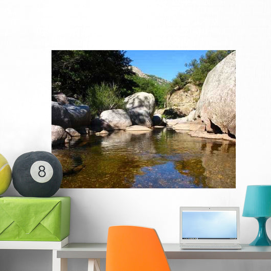 River Wall Decal Design 1