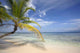 Perfect Tropical Beach Wall Decal