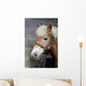Brushing Horse Wall Decal