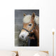 Brushing Horse Wall Decal