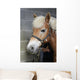 Brushing Horse Wall Decal