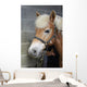 Brushing Horse Wall Decal