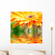 Closeup Photo Yellow Daisy-gerbera Wall Decal Design 1