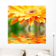 Closeup Photo Yellow Daisy-gerbera Wall Decal Design 1