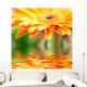 Closeup Photo Yellow Daisy-gerbera Wall Decal Design 1