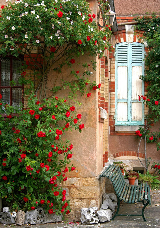 Maison Bourgeoise Wall Decal