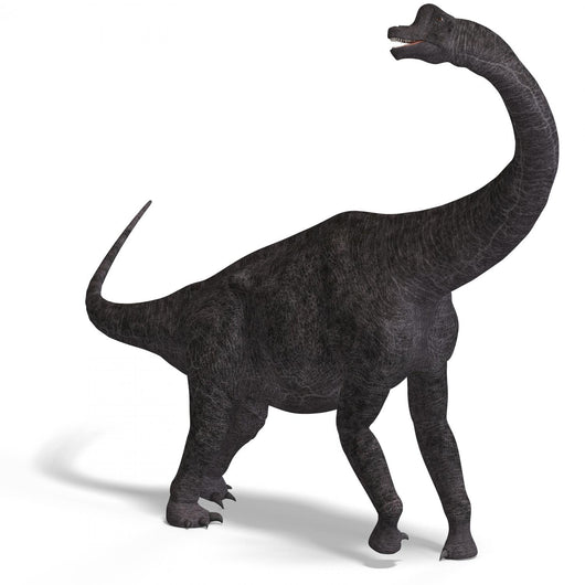 Giant Dinosaur Brachiosaurus Wall Decal