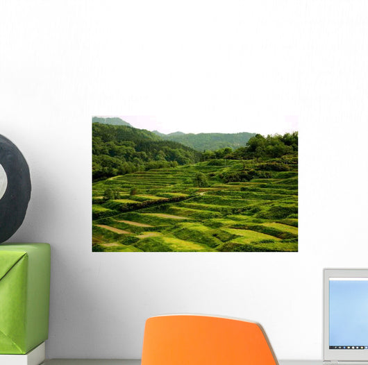 Stepped Rice Paddies Wall Decal