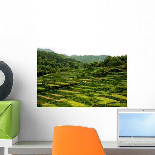 Stepped Rice Paddies Wall Decal