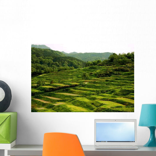 Stepped Rice Paddies Wall Decal