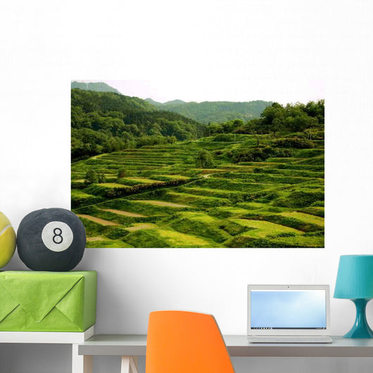 Stepped Rice Paddies Wall Decal