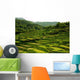 Stepped Rice Paddies Wall Decal