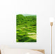 Early Summer Shed Tian Wall Decal