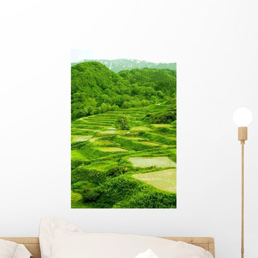 Early Summer Shed Tian Wall Decal