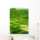 Early Summer Shed Tian Wall Decal