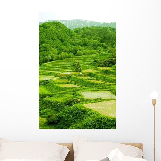 Early Summer Shed Tian Wall Decal