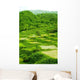 Early Summer Shed Tian Wall Decal