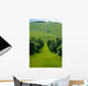 Vineyards Wall Decal