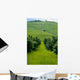 Vineyards Wall Decal