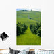 Vineyards Wall Decal