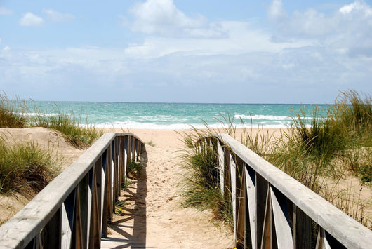 Dune Path Baltic Sea Wall Decal