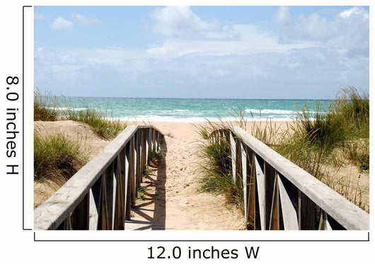 Dune Path Baltic Sea Wall Decal