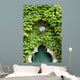 Green Entry Wall Decal