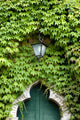Green Entry Wall Decal