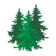 Canadian Spruce Canada Single Wall Decal