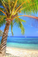Tropical Island Beach Wall Decal