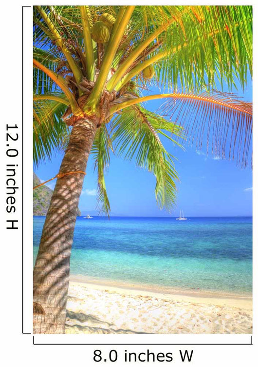 Tropical Island Beach Wall Decal