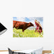 Happy Girl Feeding Cow Wall Decal