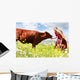 Happy Girl Feeding Cow Wall Decal